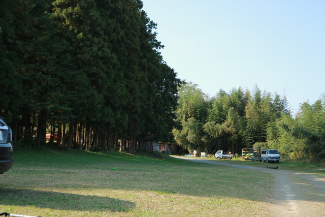 オートキャンプ那珂川ステーションのキャンプサイト