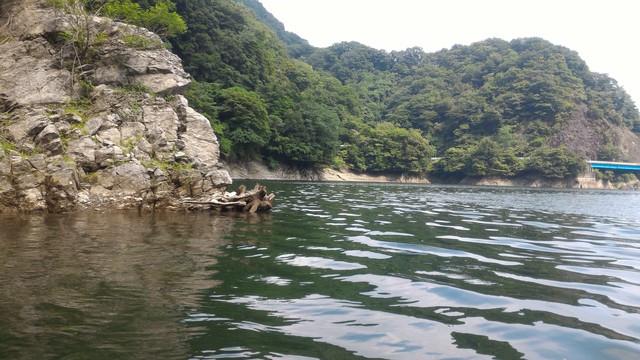 丹沢湖で初めての湖カヤックをやってみる
