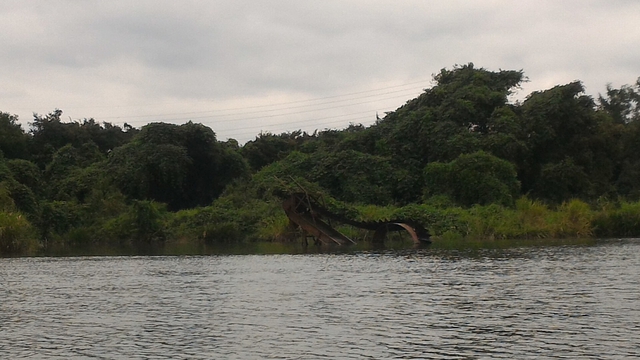猿ヶ島辺りの相模川の溜まり（磯部の堰）をカヤックで探検