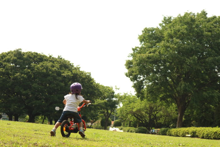 芹沢公園の芝生の広場で自転車