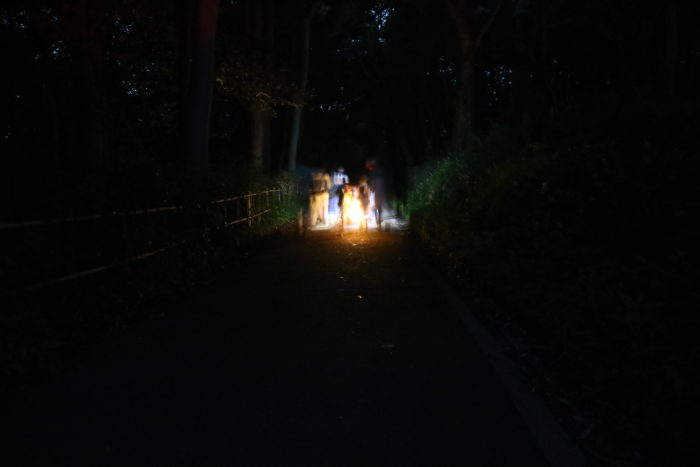 座間谷戸山公園に蛍鑑賞に来ました。