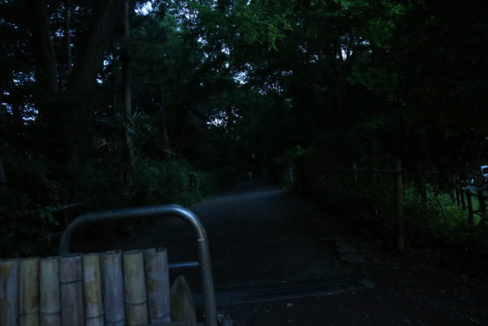 座間谷戸山公園に蛍鑑賞に来ました。