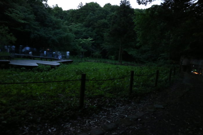 谷戸山公園に蛍鑑賞に来ました。