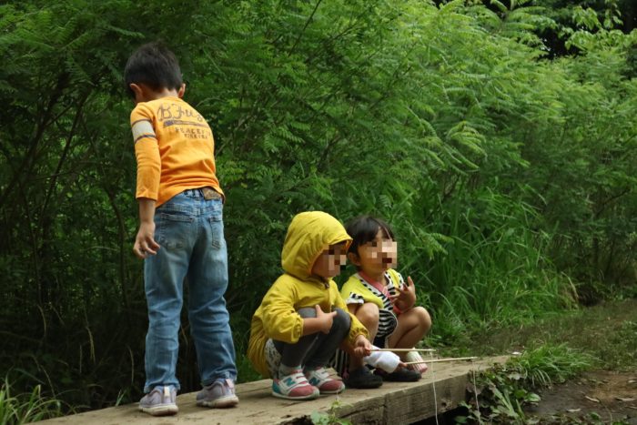 谷戸山公園に湿生生態園の脇の田んぼ用の用水路でザリガニ取り。