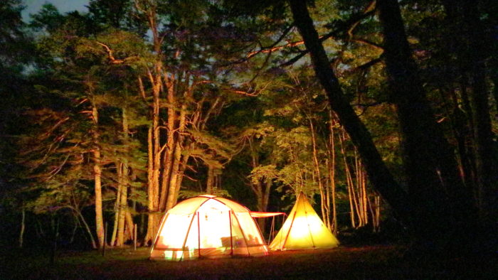 菅沼キャンプ村の夜のキャンプサイト、テント・タープ編