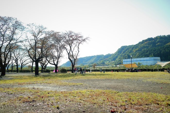 上大島キャンプ場でデイキャンプの設営前の風景