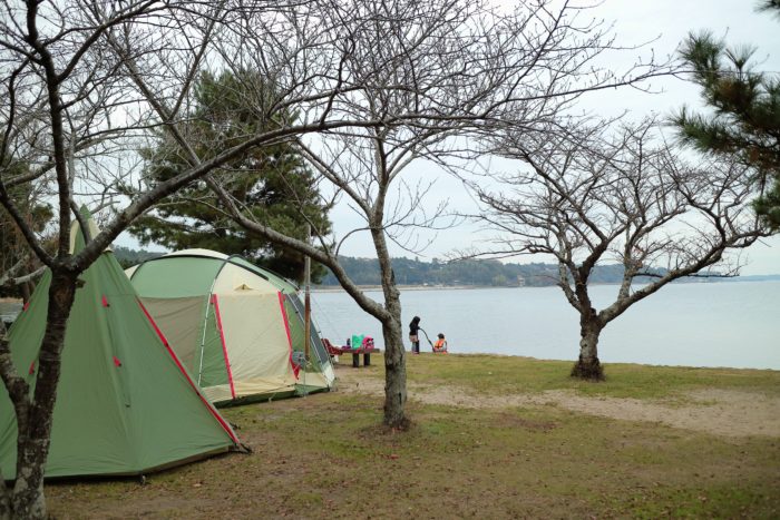【キャンプ速報】親沢公園キャンプ場