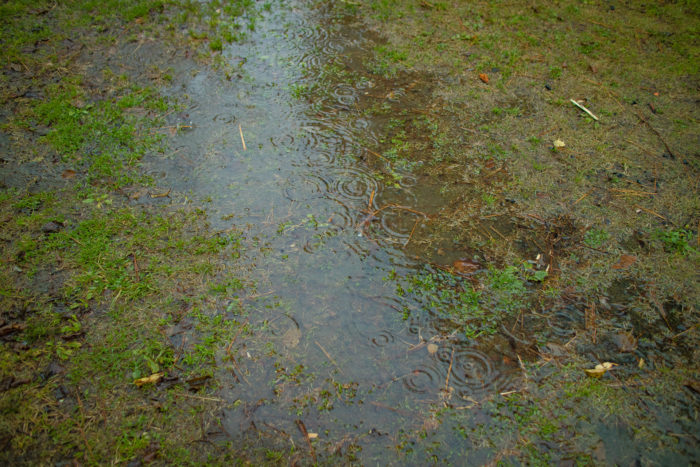 親沢公園キャンプ場で雨が降ってノースイーグルオクタゴンが濡れる
