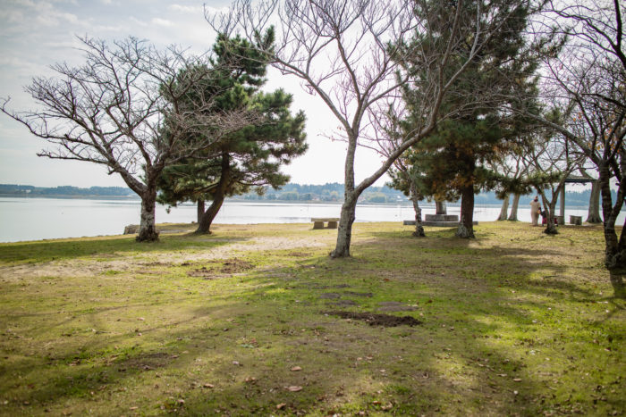親沢公園キャンプ場からの涸沼の景色