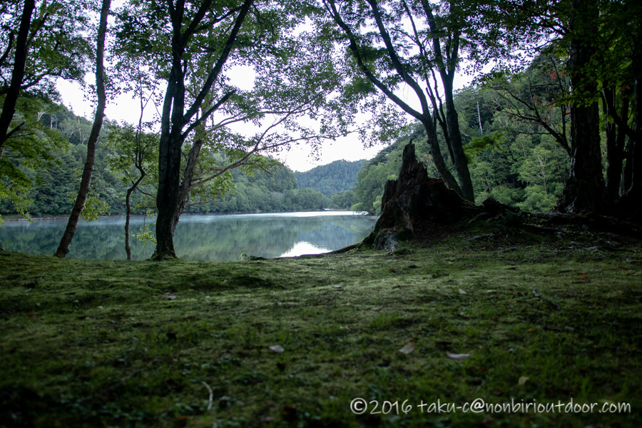 菅沼の朝の湖畔
