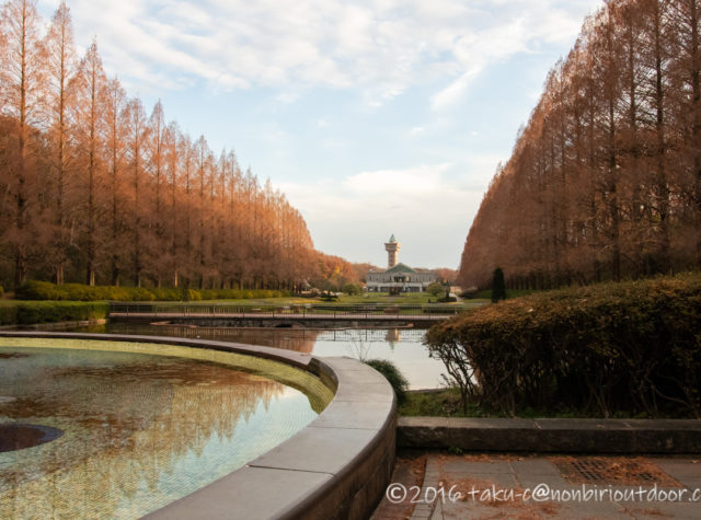 県立相模原公園の噴水広場