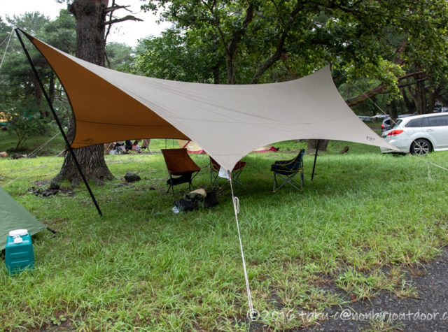 サバティカル(SABBATICAL)のルピネ(LUPINE)Lの初張り