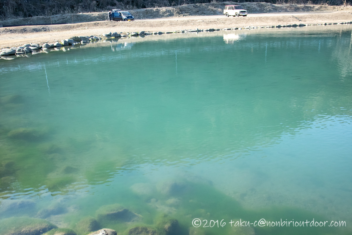2021年1月20日のFF中津川の池の様子
