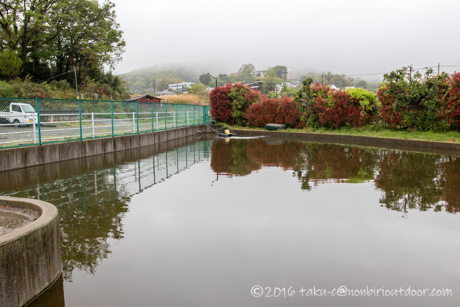 神奈川県伊勢原市の管理釣り場のBreezeさんの池