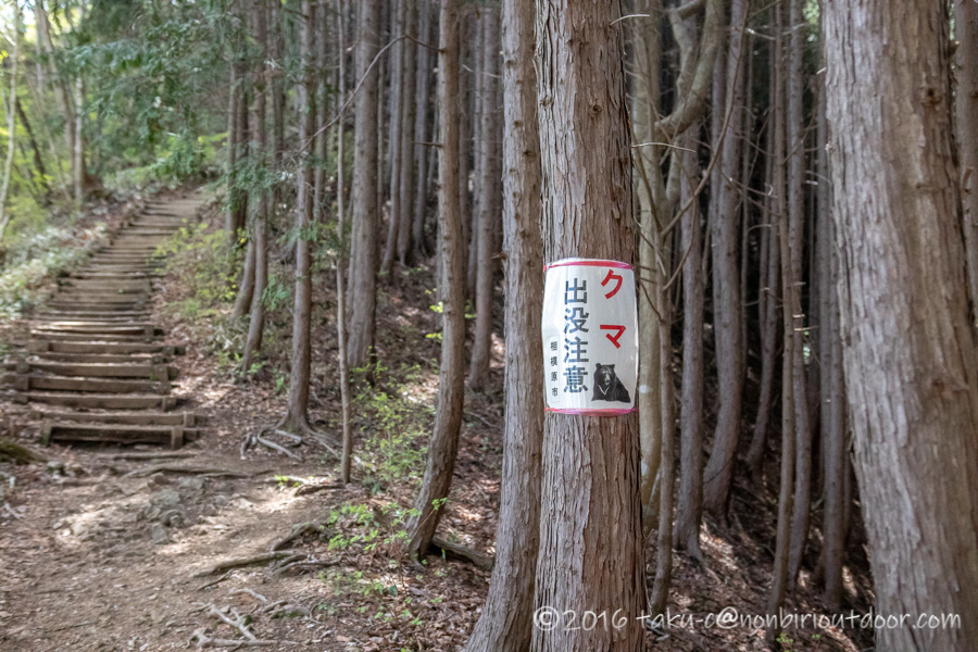和田峠の茶屋から陣場山へハイキング