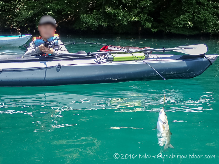 夏の青木湖でレイクジギング 狙うはヒメマス でもウグイｗ のんびりアウトドア