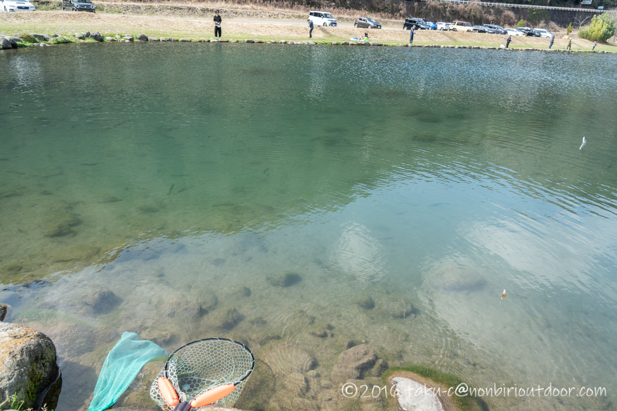 2023年管釣り始めはFF中津川でセニョール祭り♬
