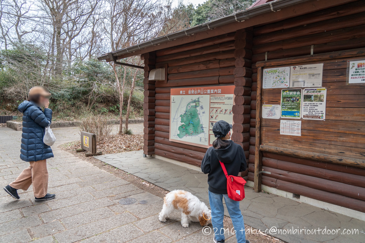 座間の谷戸山公園にChacoと散歩に行ってきました！