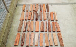 東京薪販売で広葉樹の薪1,000円分買ってきました。